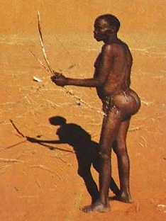 Bushman: Firm Buttocks