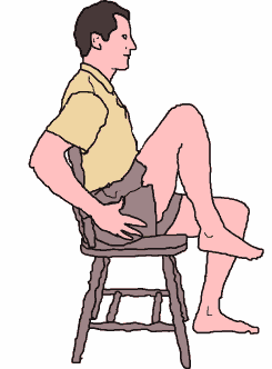 Hip Exercises For Seniors (Seated)
