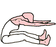 Spine Stretch forward: Bent Knees.