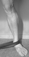 Posterior Tibial