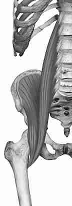 Iliopsoas Muscle: a major hidden source of lower back pain